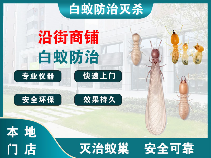 瑞安沿街商铺白蚁防治