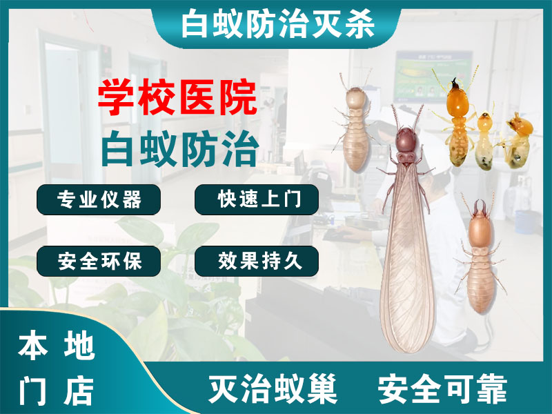 瑞安学校医院白蚁防治