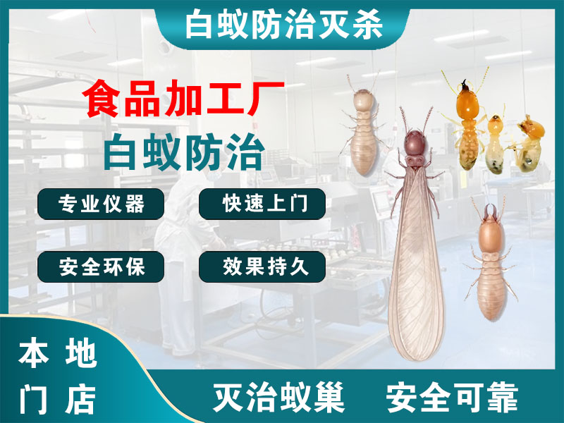 瑞安食品加工厂白蚁防治