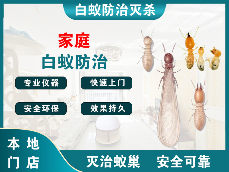 瑞安家庭白蚁防治