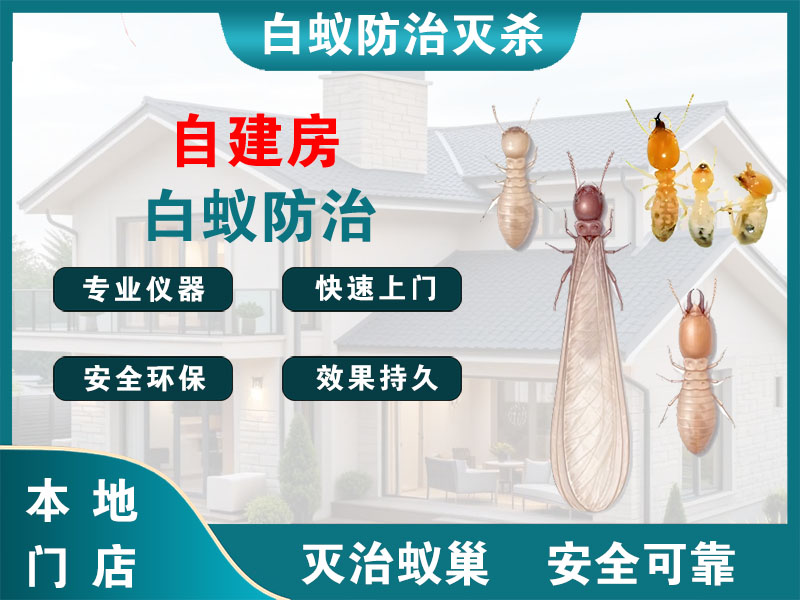 瑞安自建房白蚁防治