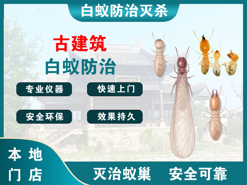 瑞安古建筑白蚁防治