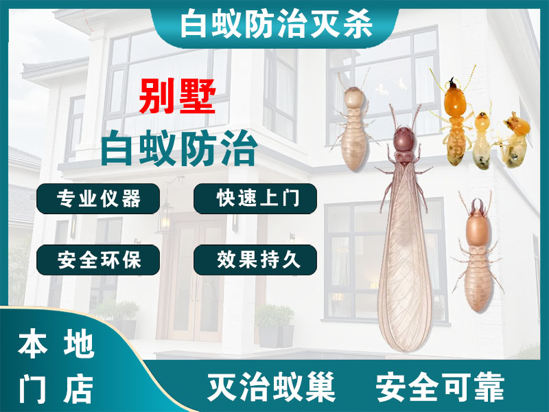 瑞安别墅白蚁防治