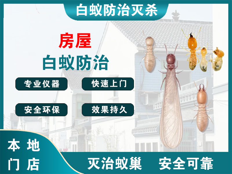 瑞安房屋白蚁防治